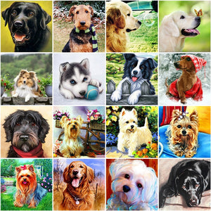 5D DIY Diamond Painting Dog Animal Mosaic Diamond Embroidery Sale Cross Stitch Kits Full Round Rhinestones Picture Home Decor - SallyHomey Life's Beautiful