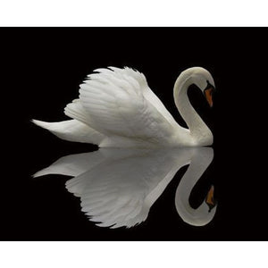DIY 5D Diamond Painting Swan Landscape Full Round Diamond Embroidery Animal Mosaic Rhinestones Cross Stitch Picture Home Decor - SallyHomey Life's Beautiful