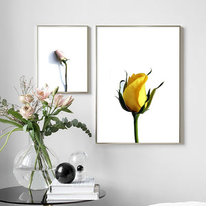 Tulip Rose Flower Plant Scandinavian Wall Art Print Canvas Painting Nordic Posters And Prints Wall Pictures For Living Room - SallyHomey Life's Beautiful