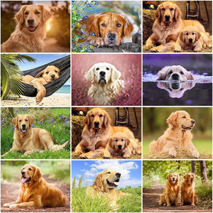 DIY 5D Diamond Painting Golden Retriever Dog Diamond Embroidery Cross Stitch Kits Animal Mosaic Full Round Rhinestone Home Decor - SallyHomey Life's Beautiful