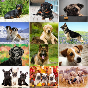 DIY 5D Diamond Painting Dog Animal Diamond Embroidery Cross Stitch Kit Dachshund Mosaic Full Round Drill Rhinestone Home Decor - SallyHomey Life's Beautiful