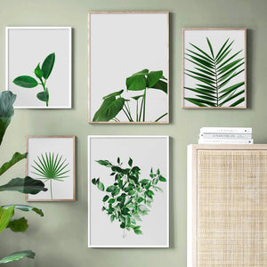 Nordic Monstera Eucalyptus Palm leaf Wall Art Print Canvas Painting Nordic Posters And Prints Wall Pictures For Living Room - SallyHomey Life's Beautiful