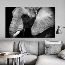 Load image into Gallery viewer, Modern Animal Posters and Prints Wall Art Canvas Painting Black and white Elephant Pictures for Living Room Home Decor No Frame - SallyHomey Life&#39;s Beautiful