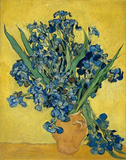 Dutch Post-impressionist Painter Van Gogh Iris Posters and Prints Wall Art Canvas Painting Decorative Pictures for Room Decor - SallyHomey Life's Beautiful