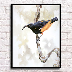 Modern Animals Decorative Painting Birds Posters and Prints on Canvas Wall Art Paintings for Living Room Home Decor No Frame - SallyHomey Life's Beautiful