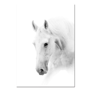 Animal White Horse Wall Art Canvas Posters and Prints Painting Wall Pictures for Living Room Modern Home Decor - SallyHomey Life's Beautiful
