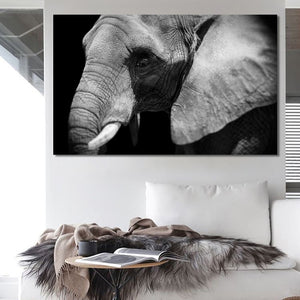Modern Animal Posters and Prints Wall Art Canvas Painting Black and white Elephant Pictures for Living Room Home Decor No Frame - SallyHomey Life's Beautiful