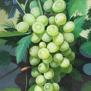 100% Hand Painted Grape Realistic Art Oil Painting On Canvas Wall Art Frameless Picture Decoration For Live Room Home Decor Gift
