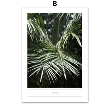 Load image into Gallery viewer, Tropical Flesh Keel Cactus Palm Leaf Wall Art Canvas Painting Nordic Posters And Prints Wall Pictures For Living Room Home Decor - SallyHomey Life&#39;s Beautiful