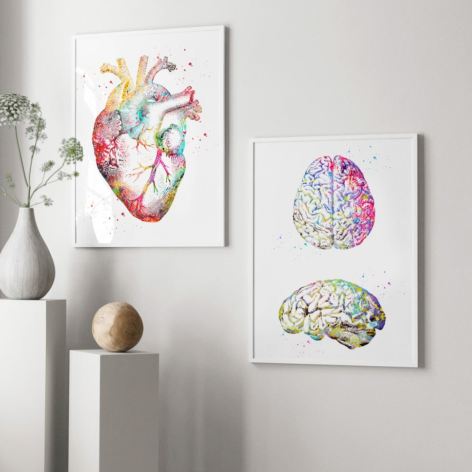 Anatomy Art Human Heart Brain Lungs Wall Art Canvas Painting Nordic Po ...