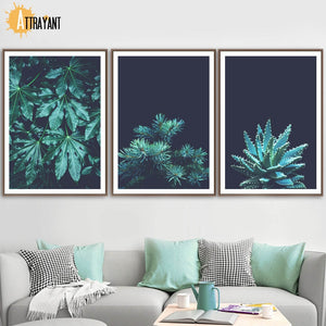 Cypress Leaf Aloe Succulent Plant Feather Wall Art Canvas Painting Nordic Posters And Prints Wall Pictures For Living Room Decor - SallyHomey Life's Beautiful