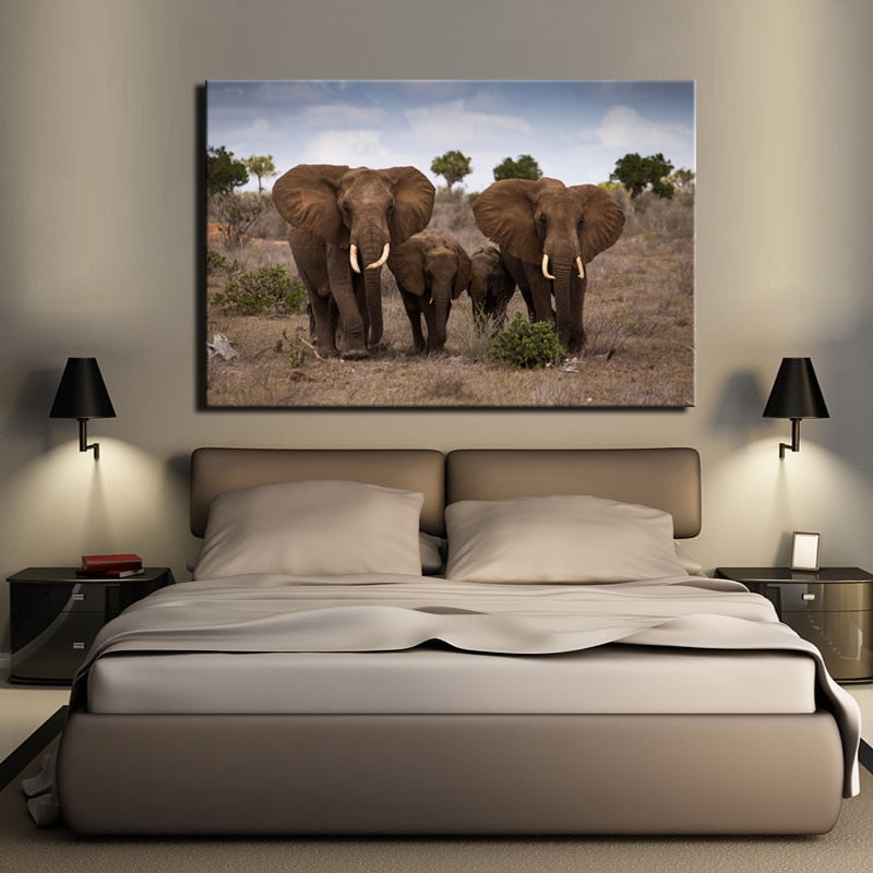 The African Grassland -The Family of Elephants Pictures - SallyHomey Life's Beautiful