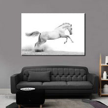 Load image into Gallery viewer, 70x100cm - Modern Animals Posters and Prints Wall Art Canvas Painting - SallyHomey Life&#39;s Beautiful