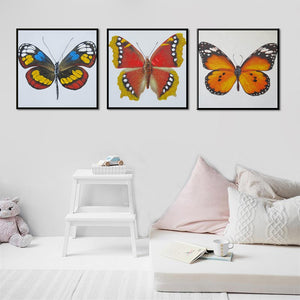 Wall Decoration Colorful Butterfly Posters, Modern Paintings Canvas Wall Art Prints On Canvas Pictures For Living Room No Frame - SallyHomey Life's Beautiful