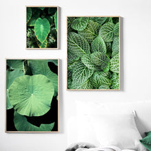 Load image into Gallery viewer, Fresh Green Lotus Leaf Wall Art Canvas Painting Nordic Posters And Prints Wall Pictures For Living Room Scandinavian Home Decor - SallyHomey Life&#39;s Beautiful