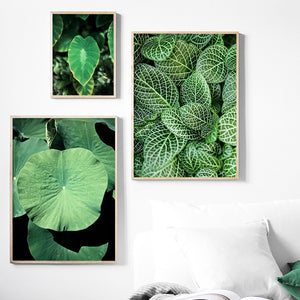 Fresh Green Lotus Leaf Wall Art Canvas Painting Nordic Posters And Prints Wall Pictures For Living Room Scandinavian Home Decor - SallyHomey Life's Beautiful