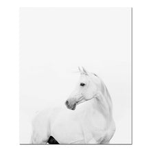 Load image into Gallery viewer, Animal White Horse Wall Art Canvas Posters and Prints Painting Wall Pictures for Living Room Modern Home Decor - SallyHomey Life&#39;s Beautiful