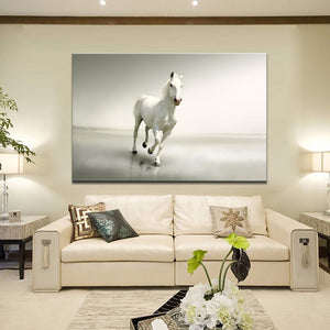 70x100cm - Modern Animals Posters and Prints Wall Art Canvas Painting - SallyHomey Life's Beautiful