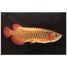 Load image into Gallery viewer, 100% Hand painted Golden realistic arowana Art oil Painting On Canvas Wall Art Wall Pictures Painting For Live Room Home Decor