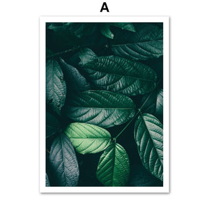 Tropical Monstera Green Flash Leaf Plant Wall Art Canvas Painting Nordic Posters And Prints Wall Pictures For Living Room Decor - SallyHomey Life's Beautiful
