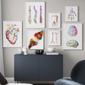 Anatomy Art Human Heart Brain Lungs Wall Art Canvas Painting Nordic Posters And Prints Wall Pictures For Doctor Office Decor - SallyHomey Life's Beautiful