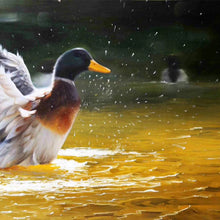 Load image into Gallery viewer, 100% Hand painted Golden realistic duck Art Painting On Canvas Wall Art Wall Adornment picture Painting For Live Room Home Decor