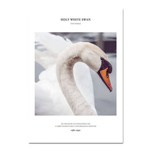 Load image into Gallery viewer, Swan Motivation Scandinavian Poster Art Wall Canvas Print Painting Nordic Style Decorative Picture Minimalist Modern Home Decor - SallyHomey Life&#39;s Beautiful