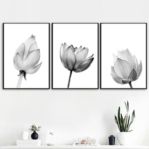 Nature Lotus Flower Bud Wall Art Canvas Painting Nordic Posters And Prints Black White Wall Pictures For Living Room Home Decor - SallyHomey Life's Beautiful