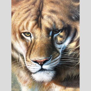 100% Hand Painted Head Of Tiger High-quality Art Oil Painting On Canvas Wall Art Wall Adornment Pictures Painting For Home Decor