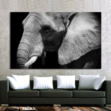 Load image into Gallery viewer, Modern Animal Posters and Prints Wall Art Canvas Painting Black and white Elephant Pictures for Living Room Home Decor No Frame - SallyHomey Life&#39;s Beautiful