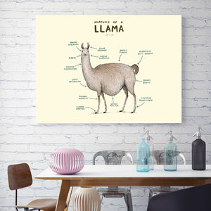 Flamingo Fox Sloth Sheep Animal Anatomy Wall Art Canvas Painting Nordic Posters And Prints Wall Pictures For Living Room Decor - SallyHomey Life's Beautiful