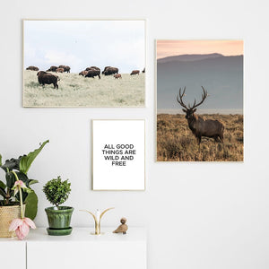 Scandinavian Poster Nordic Print Deer Horse Cattle Animal Wall Art Canvas Painting Wild Field Nature Picture Living Room Decor - SallyHomey Life's Beautiful