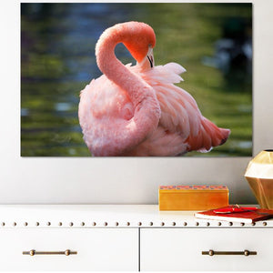 Animals Posters and Prints Wall Art Canvas Painting Beautiful Flamingos Decorative Pictures for Living Room Home Decor No Frame - SallyHomey Life's Beautiful
