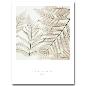 Nordic Decoration Vintage Poster Leaves Plant Wall Art Canvas Prints Minimalist Painting Wall Picture for Living Room Home Decor - SallyHomey Life's Beautiful