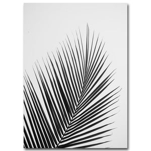 🔥Black White Palm Tree Leaves Canvas Posters and Prints Minimalist Painting Wall Art Decorative Picture Nordic Style Home Decor - SallyHomey Life's Beautiful