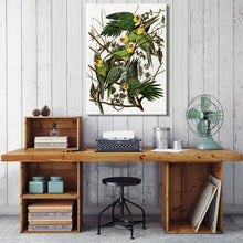 Load image into Gallery viewer, Posters and Prints Wall Art Canvas Painting Audubon&#39;s Birds of America Illustrations Decorative Pictures for Living Room Decor - SallyHomey Life&#39;s Beautiful