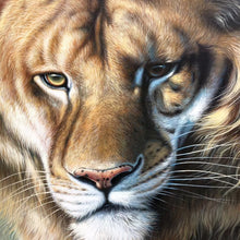 Load image into Gallery viewer, 100% Hand Painted Head Of Tiger High-quality Art Oil Painting On Canvas Wall Art Wall Adornment Pictures Painting For Home Decor