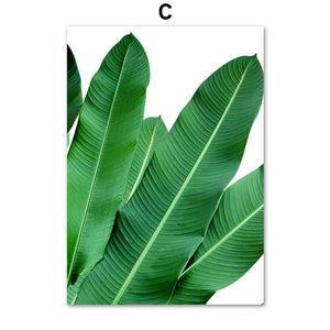 Tropical Plants Monstera Banana Leaf Nordic Posters And Prints Wall Art Canvas Painting Wall Pictures For Living Room Decor - SallyHomey Life's Beautiful