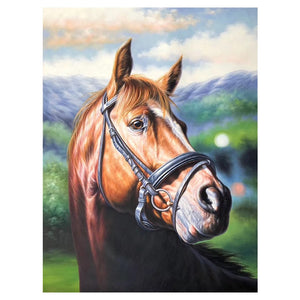 100% Hand painted Modern head of horse Art Painting On Canvas Wall Art Wall Adornment pictures Painting For Live Room Home Decor
