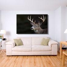Load image into Gallery viewer, Modern Animals Posters and Prints Wall Art Canvas Painting Deer Pictures - SallyHomey Life&#39;s Beautiful