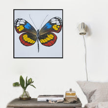 Load image into Gallery viewer, Wall Decoration Colorful Butterfly Posters, Modern Paintings Canvas Wall Art Prints On Canvas Pictures For Living Room No Frame - SallyHomey Life&#39;s Beautiful