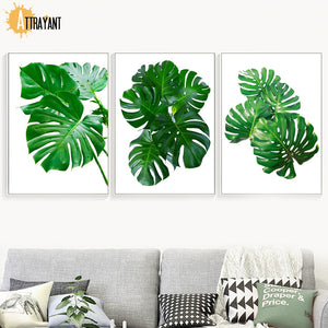 Green Fresh Leaf Monstera Plant Wall Art Canvas Painting Nordic Posters And Prints Wall Pictures For Living Room Bedroom Decor - SallyHomey Life's Beautiful
