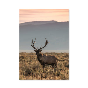 Scandinavian Poster Nordic Print Deer Horse Cattle Animal Wall Art Canvas Painting Wild Field Nature Picture Living Room Decor - SallyHomey Life's Beautiful