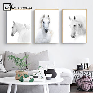 Animal White Horse Wall Art Canvas Posters and Prints Painting Wall Pictures for Living Room Modern Home Decor - SallyHomey Life's Beautiful