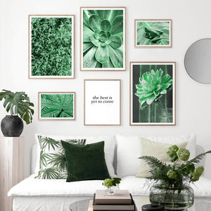 Nature Green Leaves Succulent Plants Wall Art Canvas Painting Nordic Posters And Prints Wall Pictures For Living Room Decor - SallyHomey Life's Beautiful