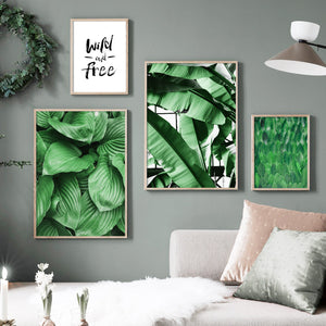 Green Hosta Plantaginea Banana Leaf Wall Art Canvas Painting Nordic Posters And Prints Wall Pictures For Living Room Home Decor - SallyHomey Life's Beautiful