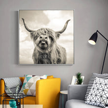 Load image into Gallery viewer, 70x70cm -  Cute Yak Pictures - SallyHomey Life&#39;s Beautiful