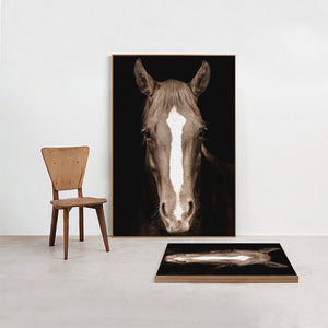 Modern Art Poster and Digital Printed on Canvas Wall Art Painting Horse Head Decorative Pictures for Living Room Decor No Frame - SallyHomey Life's Beautiful