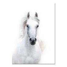 Load image into Gallery viewer, Animal White Horse Wall Art Canvas Posters and Prints Painting Wall Pictures for Living Room Modern Home Decor - SallyHomey Life&#39;s Beautiful