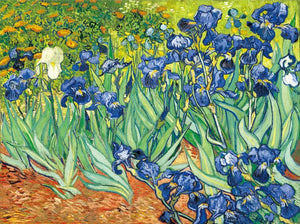 Vincent van Gogh - Irises Posters and Prints Wall Art Canvas Painting Famous Painting Decorative Pictures - SallyHomey Life's Beautiful